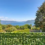 La Finestra Sul - Happy Vakantiehuis *
