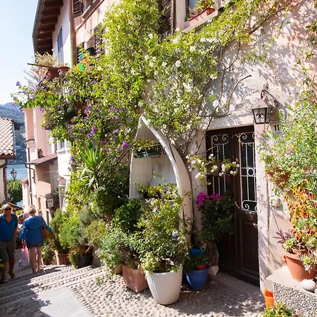 La Finestra Sul Lago: Maggiore View & Garden - Happy